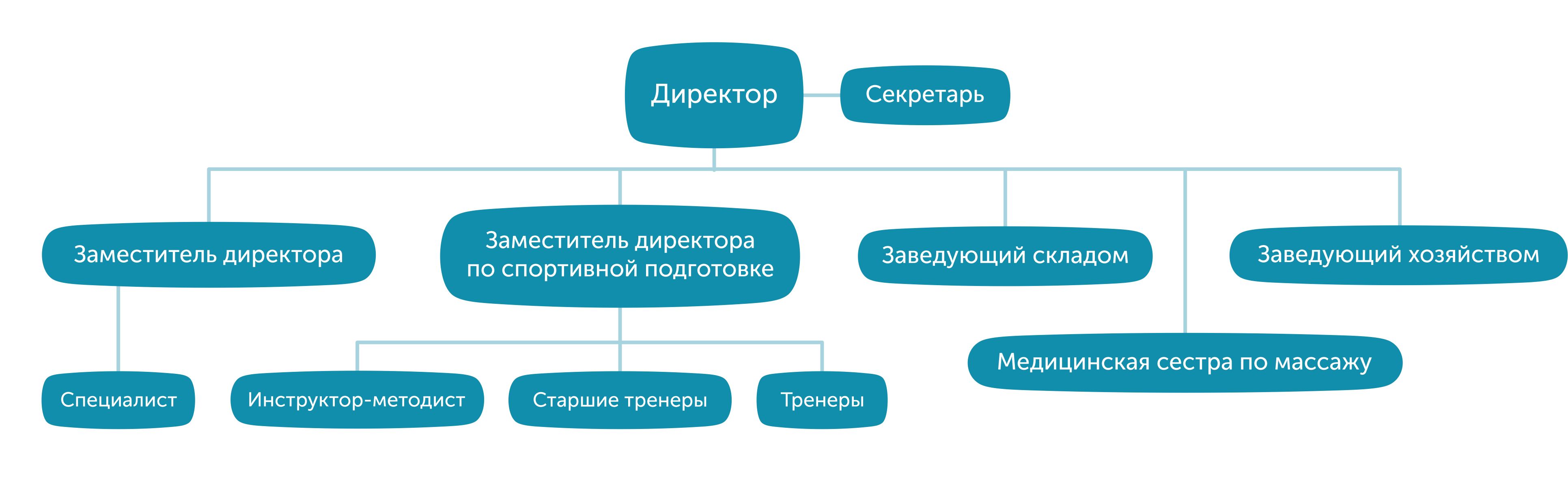 Структура организации